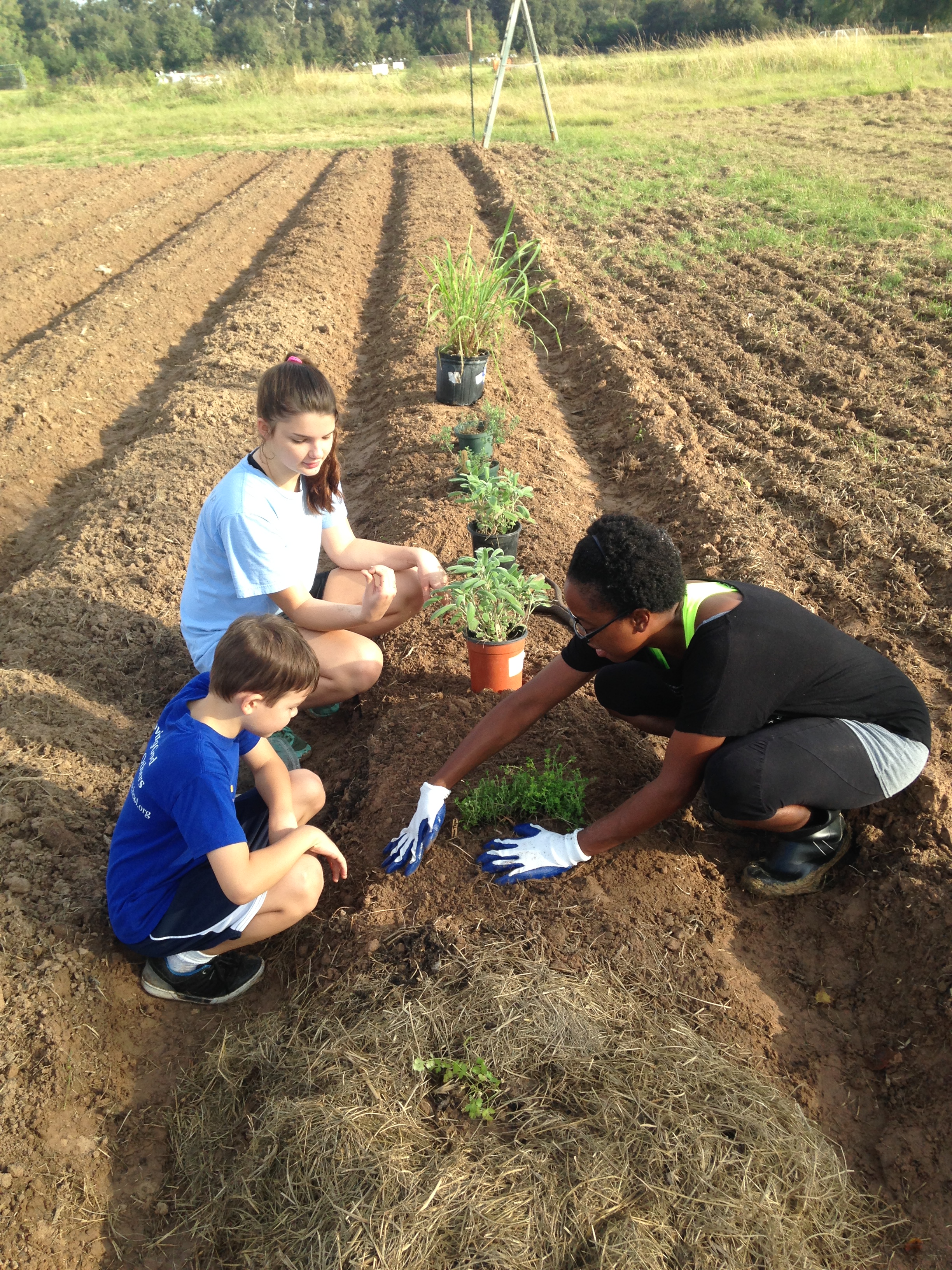 Abba's House garden planting.JPG